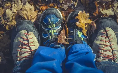 Les clés de la paternité